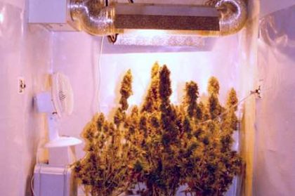 marijuana closet with filter system
