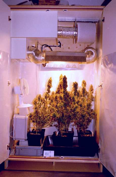 marijuana closet with filter system