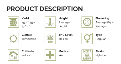 GIRL SCOUT COOKIES SEEDS info