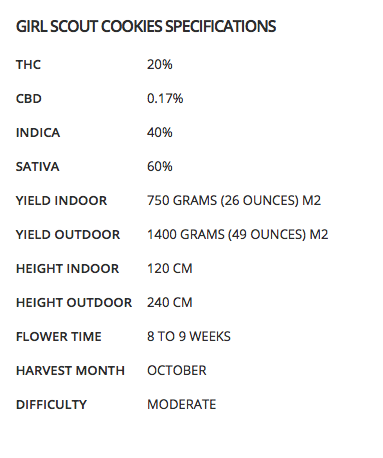 GIRL SCOUT COOKIES SPECIFICATIONS