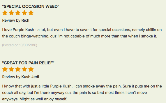 Purple Kush review 3
