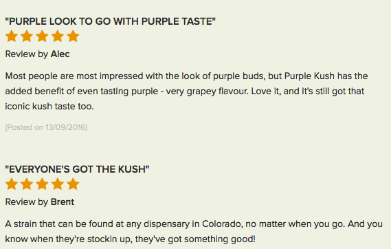 Purple Kush review 4