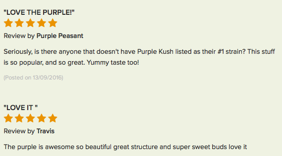 Purple Kush review 5